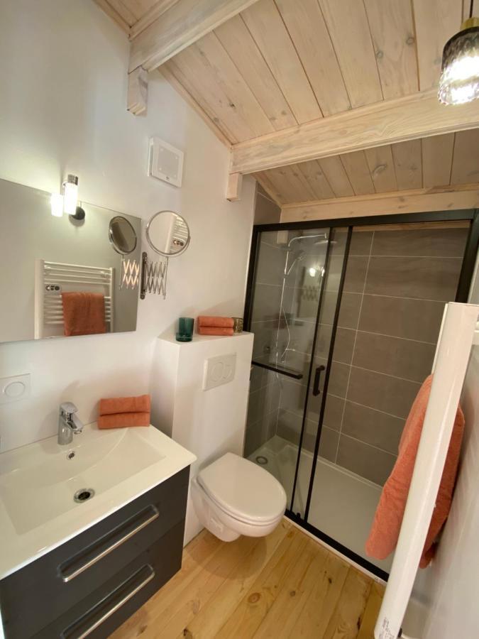 Hygge Lodge Annecy 杜萨尔 外观 照片